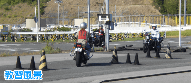 ドライビング・スクールかいなんの紹介画像｜合宿免許わかば